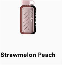 VOZOL 50K PUFFS (2 %) | Vape | Juice | Pods VOZOL 50K PUFFS (2 %) | Vape | Juice | Pods