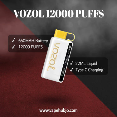 VOZOL 12000 PUFFS