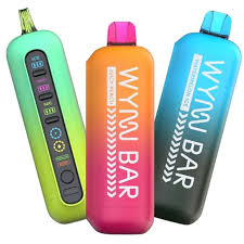 WYNN BAR 4 ADJUST 60K PUFFS (2%)